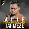 Alif Tarmeze - Pengemis Cinta - Single